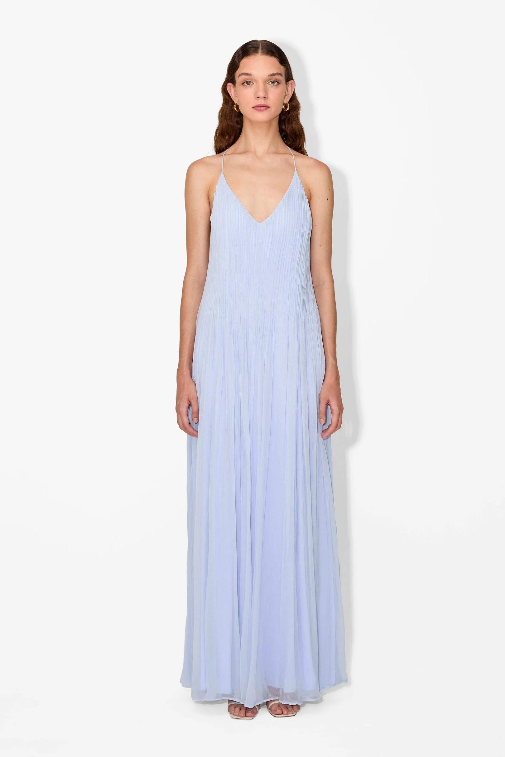 Haydin Maxi Dress in Hydrangea
