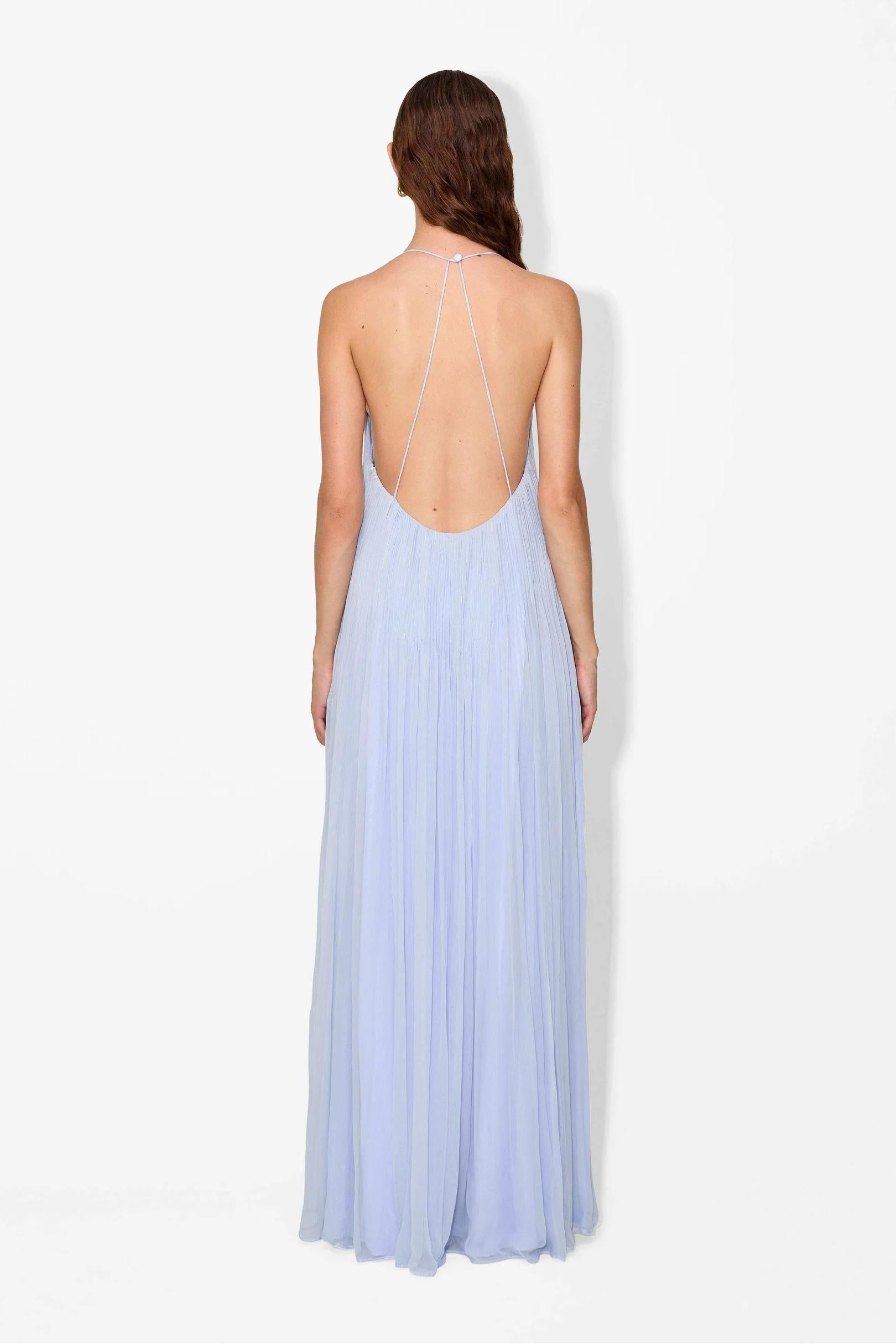 Haydin Maxi Dress in Hydrangea