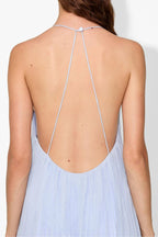 Haydin Maxi Dress in Hydrangea