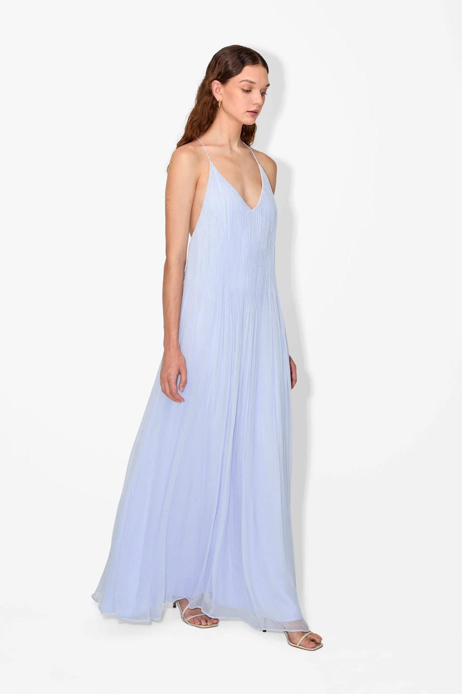 Haydin Maxi Dress in Hydrangea